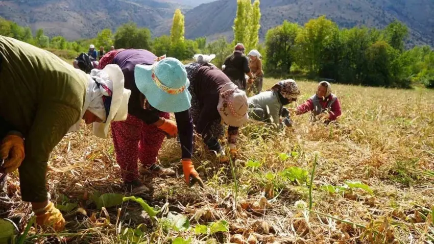 ÇİFTÇİ-SEN’den COP31 öncesi çağrı: İklim Adaleti Forumları haberinin görseli