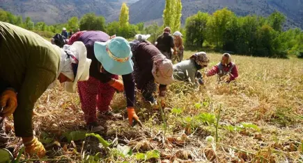ÇİFTÇİ-SEN’den COP31 öncesi çağrı: İklim Adaleti Forumları