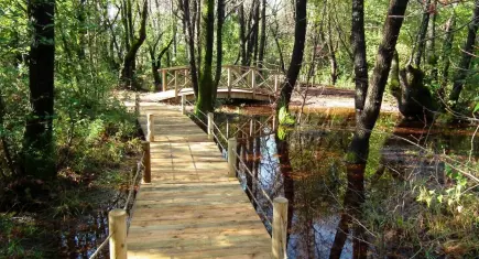 Milli Parklar Kanunu’nda değişiklik Resmi Gazete’de