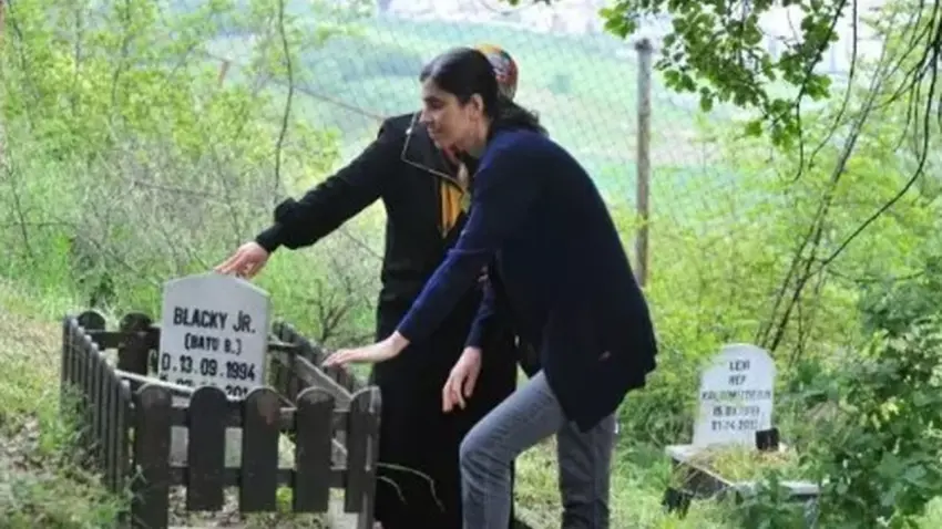 Hayvan mezarlığında bayram hüznü haberinin görseli