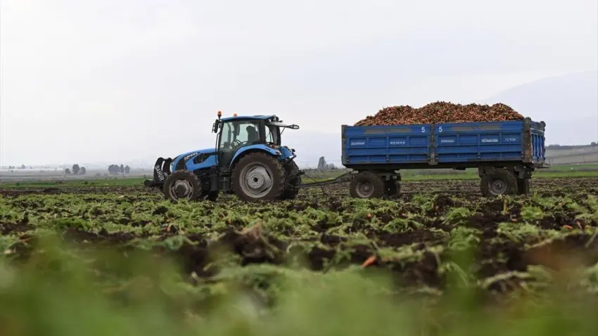 Buğday Derneği’nden bayramda e-tebrik kartı çağrısı: Gönderdiğiniz kartlar doğaya destek olacak haberinin görseli