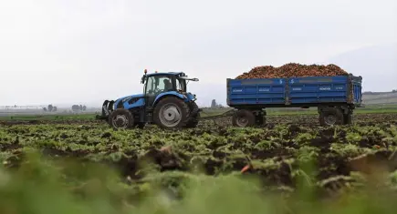 Buğday Derneği’nden bayramda e-tebrik kartı çağrısı: Gönderdiğiniz kartlar doğaya destek olacak