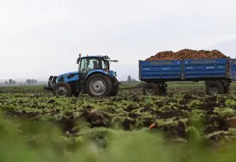 Buğday Derneği’nden bayramda e-tebrik kartı çağrısı: Gönderdiğiniz kartlar doğaya destek olacak