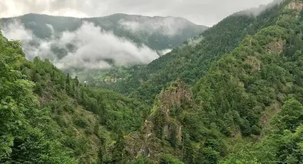 TEMA Vakfı uyardı: Ormanları korumadan su güvencesini sağlamak mümkün değil