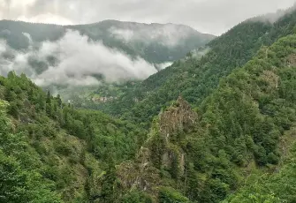 TEMA Vakfı uyardı: Ormanları korumadan su güvencesini sağlamak mümkün değil
