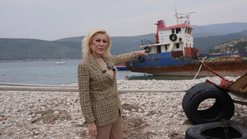 Şebnem Bursalı Aksoy