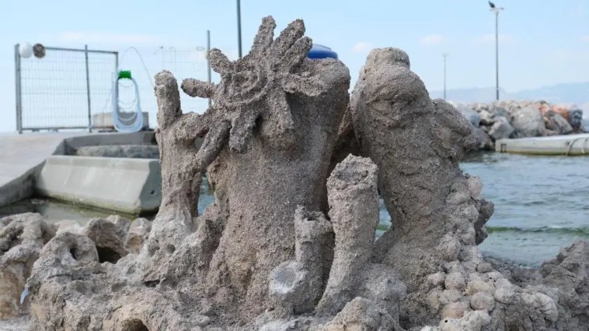 Atık midye kabukları deniz canlılarına yeni ev oluyor haberinin görseli