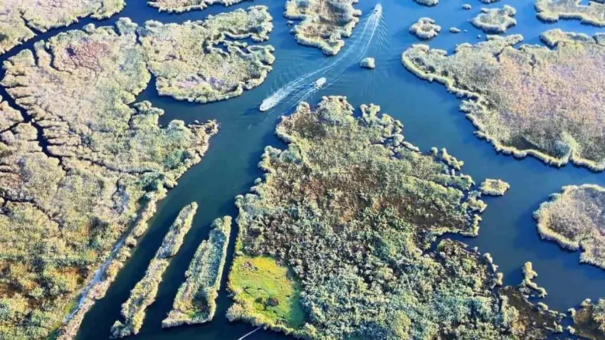 Dalyan Kanalı’nın labirenti andıran sazlıkları havadan görüntülendi haberinin görseli