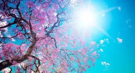 İzmir’de bahar havası: Sıcaklıklar 21 dereceye kadar çıkacak