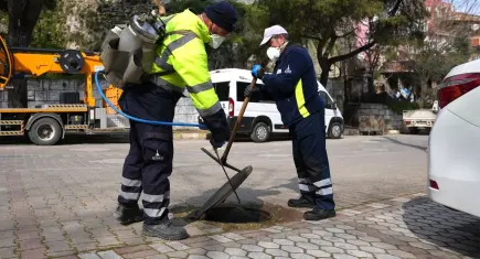 Kemalpaşa’da haşereyle mücadele hız kazandı