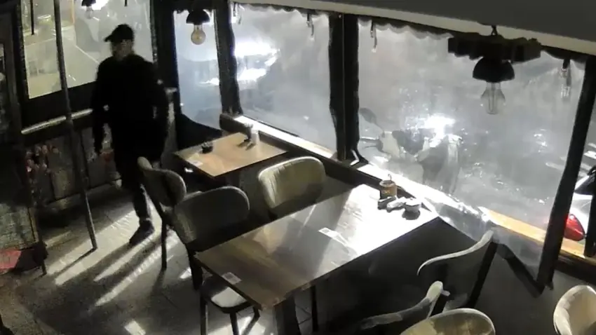 ‘Sürpriz yapmaya geldim’ dedi: Boşanma aşamasındaki eşinin iş yerini soydu! haberinin görseli