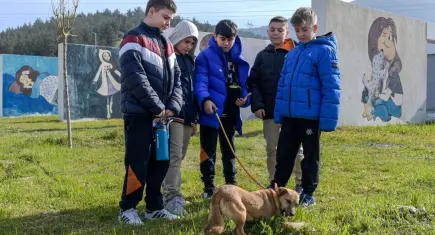 İzmir’de sahipsiz hayvanlar yeni yuvalarını bekliyor