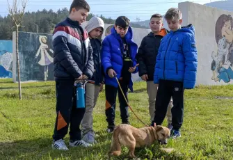 İzmir’de sahipsiz hayvanlar yeni yuvalarını bekliyor