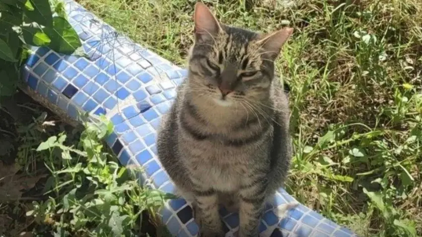 Ponçik için adalet çağrısı: Sanıklar aramızda dolaşıyor haberinin görseli