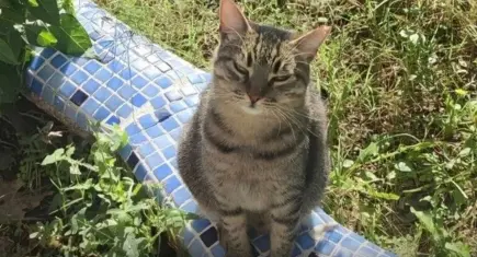 Ponçik için adalet çağrısı: Sanıklar aramızda dolaşıyor