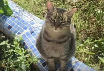 Ponçik için adalet çağrısı: Sanıklar aramızda dolaşıyor