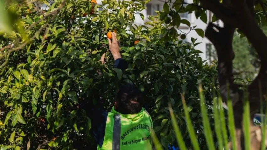 Balçova’da üretim ve dayanışma büyüyor haberinin görseli