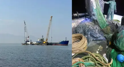 "Ağlar takılıyor" diyen şirkete balıkçılardan cevap: "Balıkçı merasında ne işin var?"