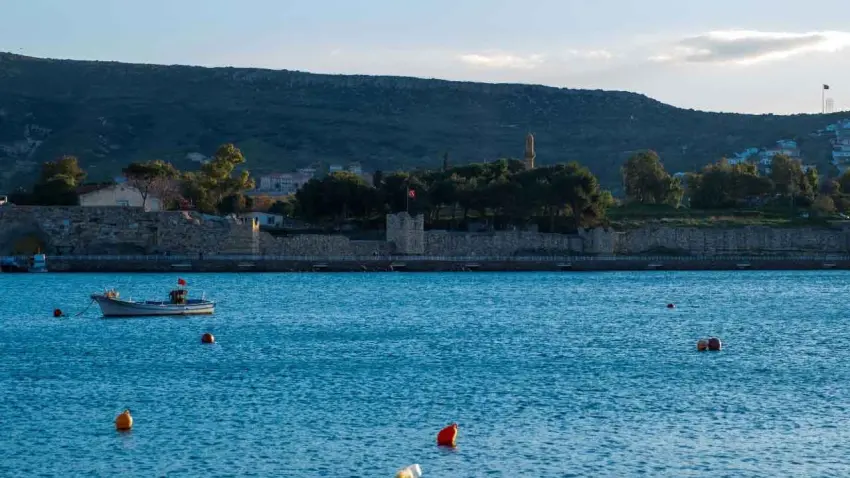 Foça'da Yerel Balık Festivali başlıyor