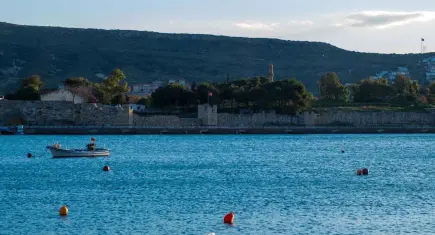 Foça'da Yerel Balık Festivali başlıyor