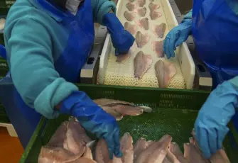 Su ürünleri ihracatında hızlı yükseliş: 2026 için rekor beklentisi güçlendi