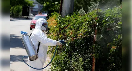Karşıyaka’da ilaçlama çalışmaları devam ediyor: Vektörlerle mücadele hız kazandı