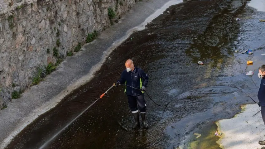 Bahar sinekleri için uzmanlardan endişe etmeyin uyarısı haberinin görseli