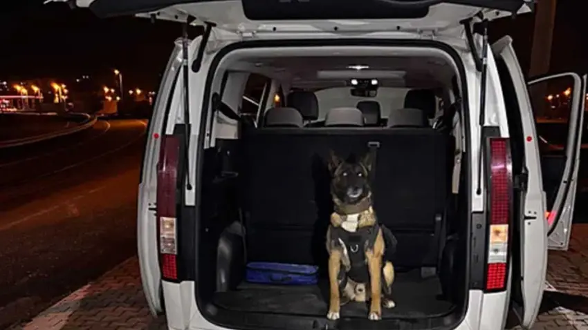 Narkotik köpeği affetmedi: Yakıt deposundan uyuşturucu çıktı! haberinin görseli