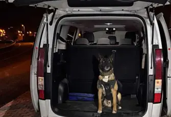 Narkotik köpeği affetmedi: Yakıt deposundan uyuşturucu çıktı!