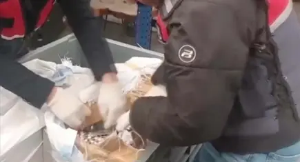 Sosyal medya üzerinden uyuşturucu satışına darbe: 99 kişi tutuklandı