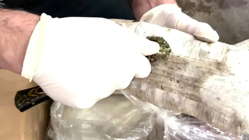 71 ilde uyuşturucu operasyonu: 373 kişi hakkında tutuklama kararı haberinin görseli