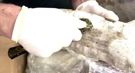 71 ilde uyuşturucu operasyonu: 373 kişi hakkında tutuklama kararı