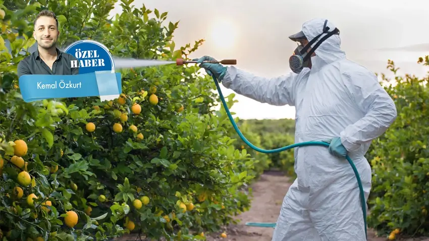 Sofrada sessiz tehlike: Avrupa’nın reddettiği zehirli ürünler soframıza mı geliyor? haberinin görseli