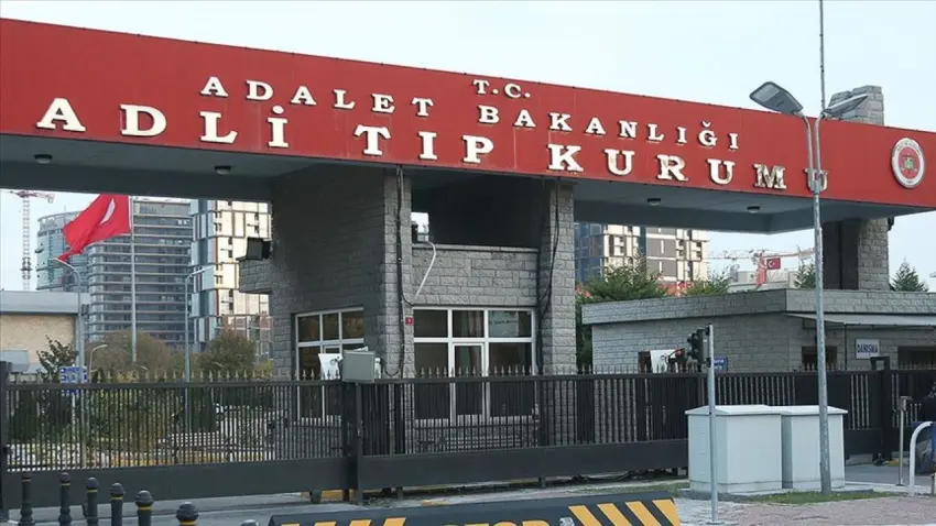 Ünlülere uyuşturucu soruşturması: Didem Soydan dahil 7 kişinin testi pozitif çıktı  haberinin görseli