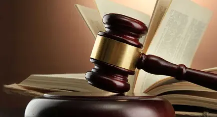 Seyhan ve Çukurova davasında 33 sanığa hapis cezası