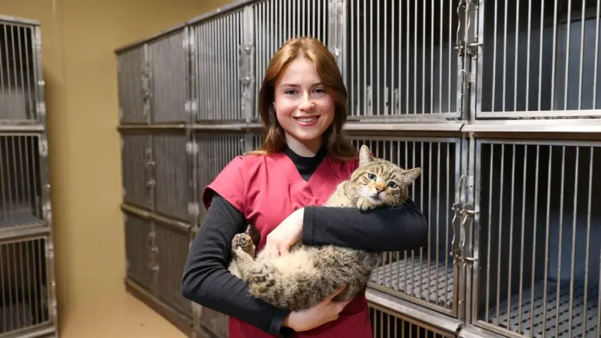 Buca’da 599 sokak hayvanına sıcak yuva haberinin görseli