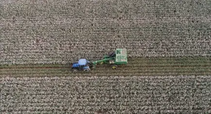 Hürmüz Boğazı’ndaki kriz çiftçileri zorluyor