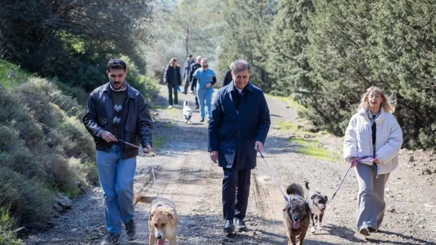 İzmir Büyükşehir’den sokak hayvanları için seferberlik haberinin görseli