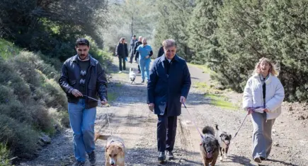 İzmir Büyükşehir’den sokak hayvanları için seferberlik
