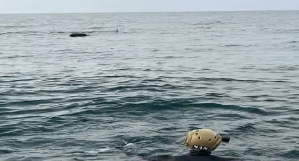 İğneada’da mayın tespit edildi