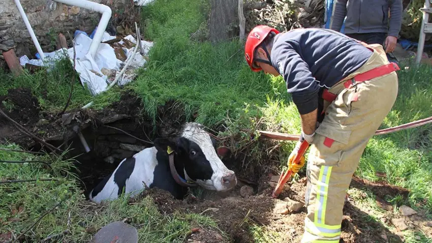 İtfaiyeden sıradışı operasyon: İş makinesiyle kuyudan çıkardılar haberinin görseli
