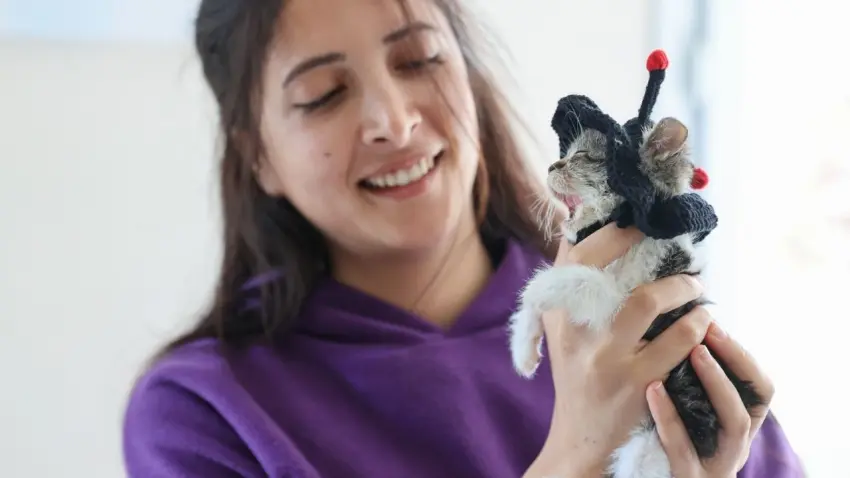 Buca Belediyesi, yaralı kediye umut oldu haberinin görseli