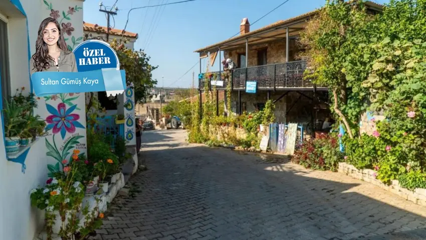 Bademli Köyü’nde tanıdık manzara: Terk edilen evcil hayvanlar haberinin görseli