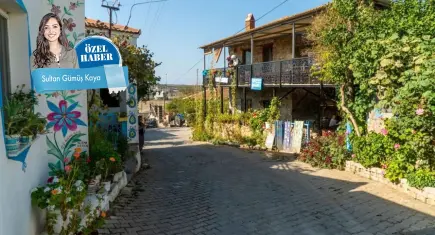 Bademli Köyü’nde tanıdık manzara: Terk edilen evcil hayvanlar