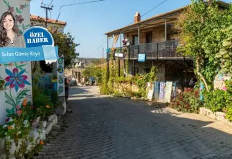 Bademli Köyü’nde tanıdık manzara: Terk edilen evcil hayvanlar