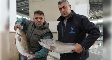Egeli balıkçılar sezonu bollukla kapatıyor