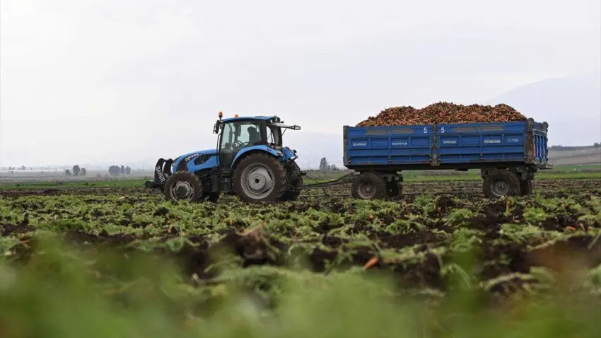Buğday Derneği aktardı: Emisyonların yüzde 26’sı sofradan haberinin görseli