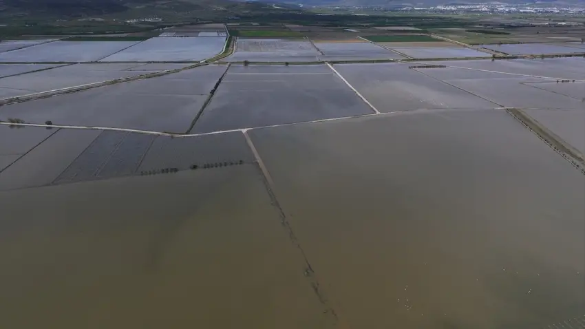 TZOB Başkanı Bayraktar Menemen’de aşırı yağışlardan etkilenen bölgeleri yerinde inceledi