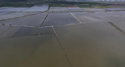 TZOB Başkanı Bayraktar Menemen’de aşırı yağışlardan etkilenen bölgeleri yerinde inceledi