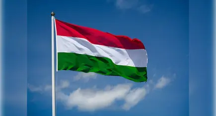 Macaristan’da halk geleceği için sandık başına gidiyor